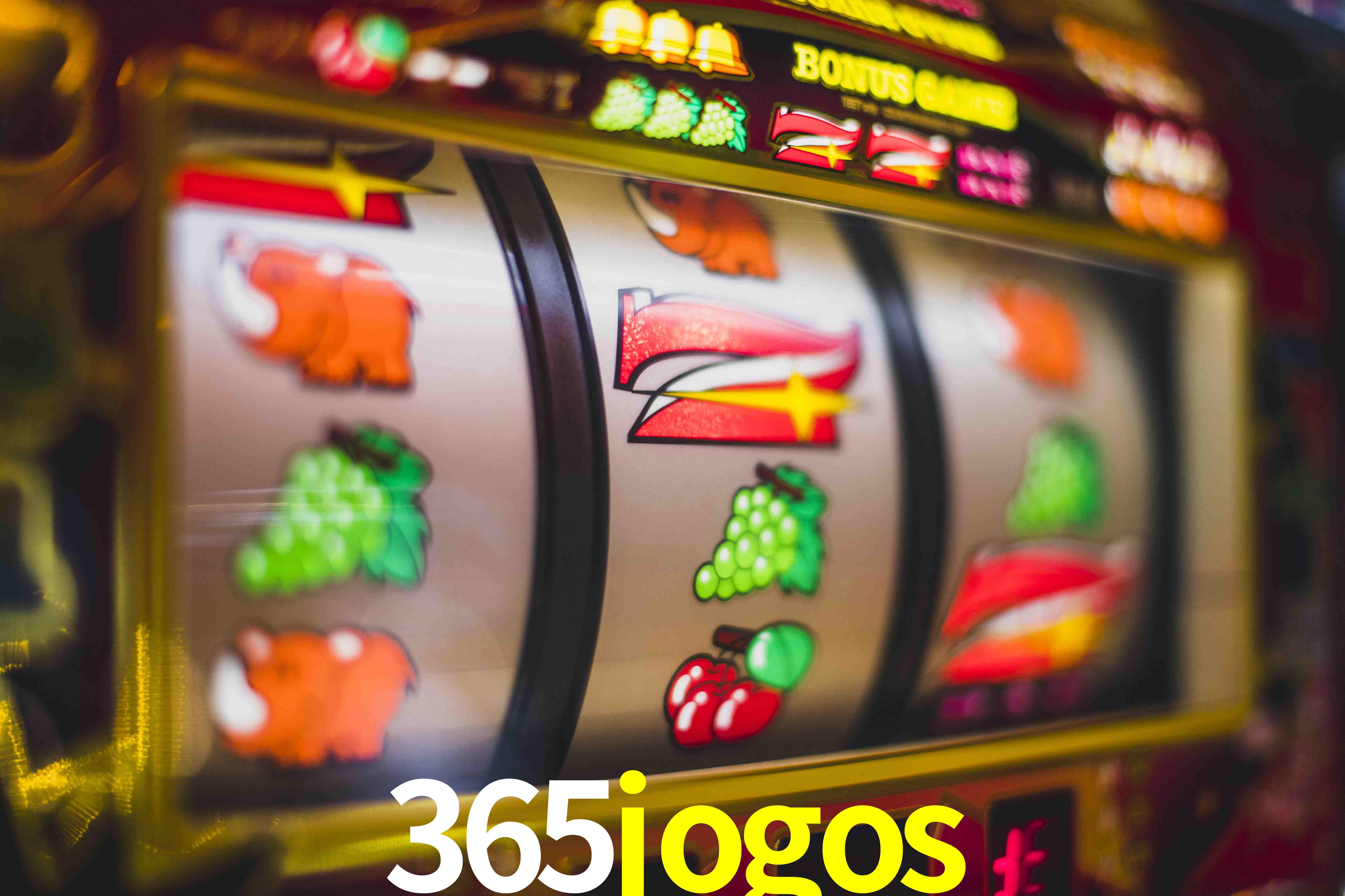 Live Casino 365jogos
